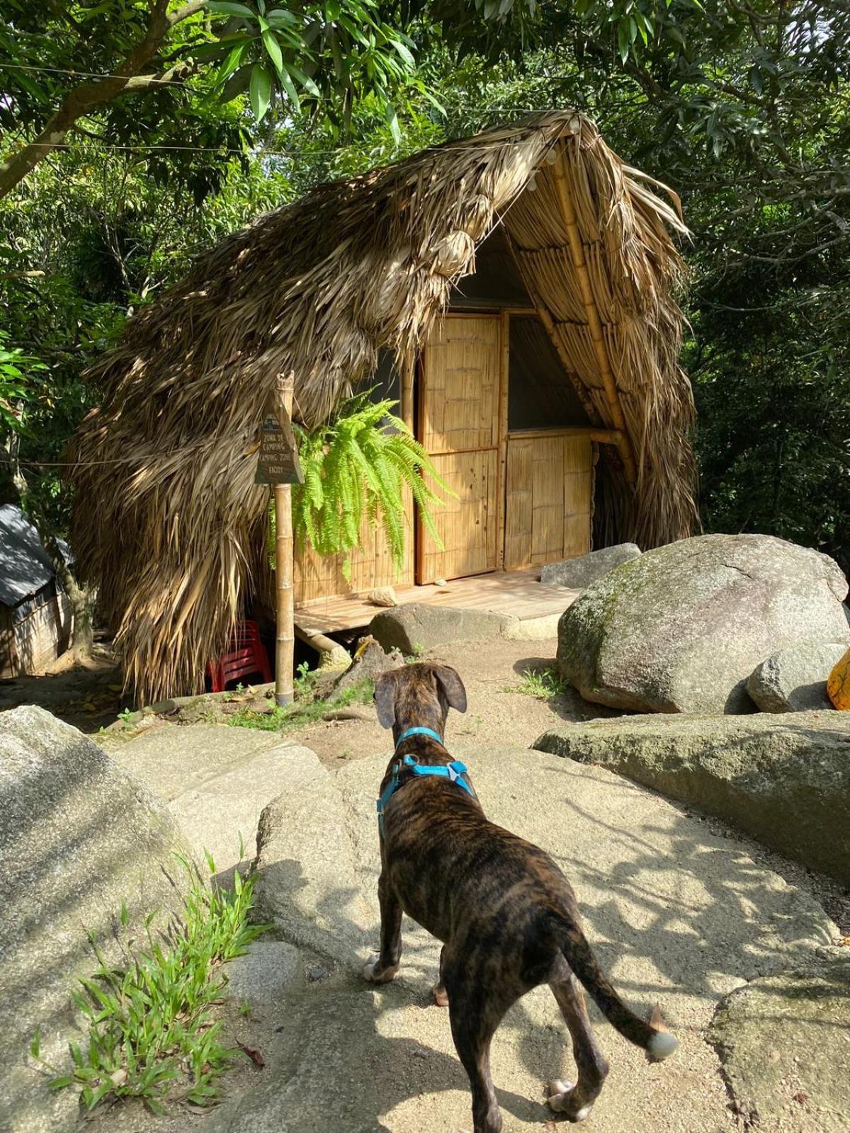 Hostal Dos Quebradas Santa Marta (Magdalena) Exterior foto